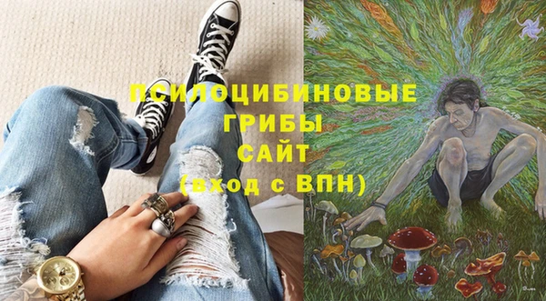 амф Алексеевка