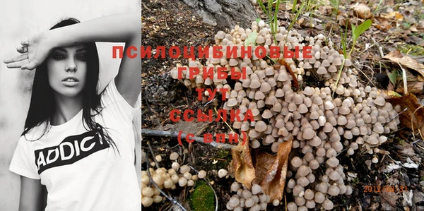 мяу мяу кристалл Алзамай