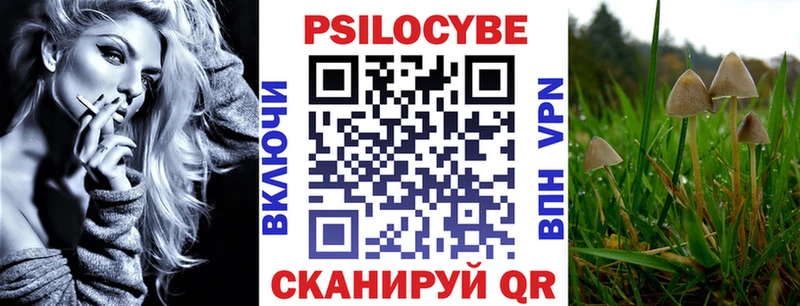 где найти Владивосток Галлюциногенные грибы GOLDEN TEACHER