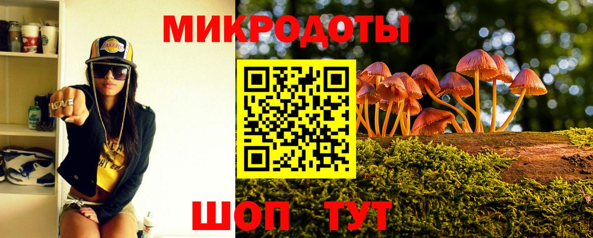 Псилоцибиновые грибы Cubensis Владивосток
