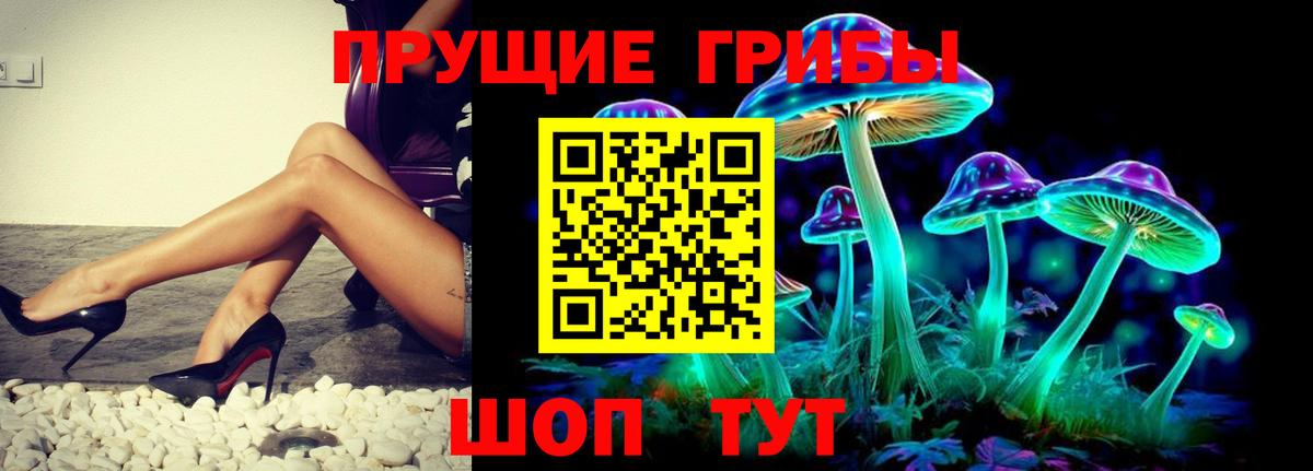 Галлюциногенные грибы MAGIC MUSHROOMS  Вход с VPN  Владивосток 